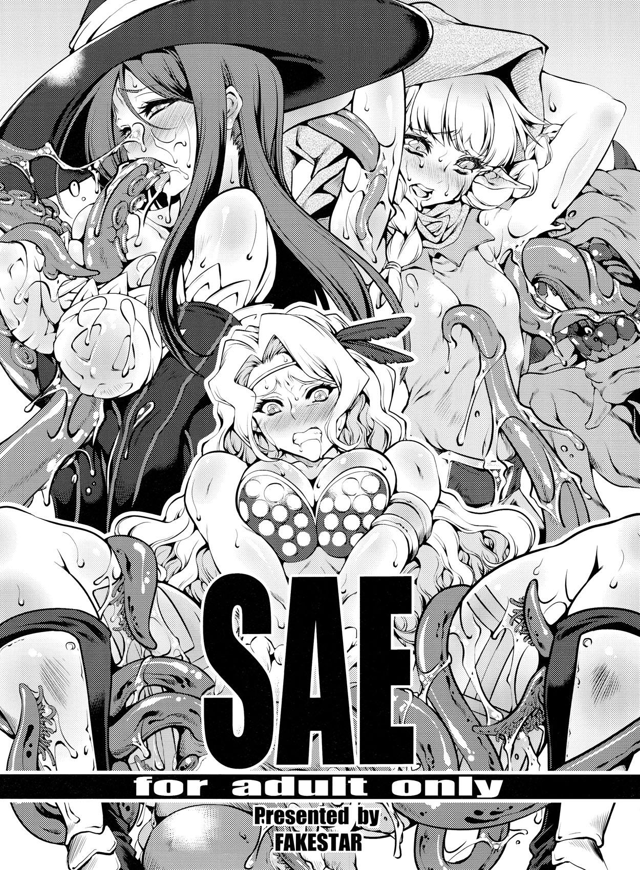 Pain Sae - Dragons crown Nurumassage - Page 1