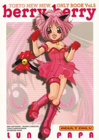Gay Shop Berry Berry Tokyo Mew Mew Glam 1