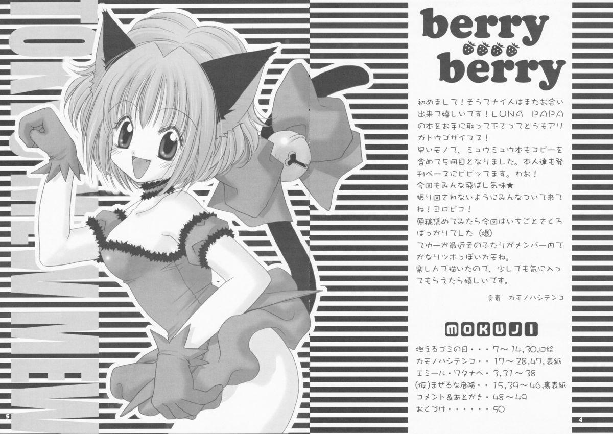 berry berry 3