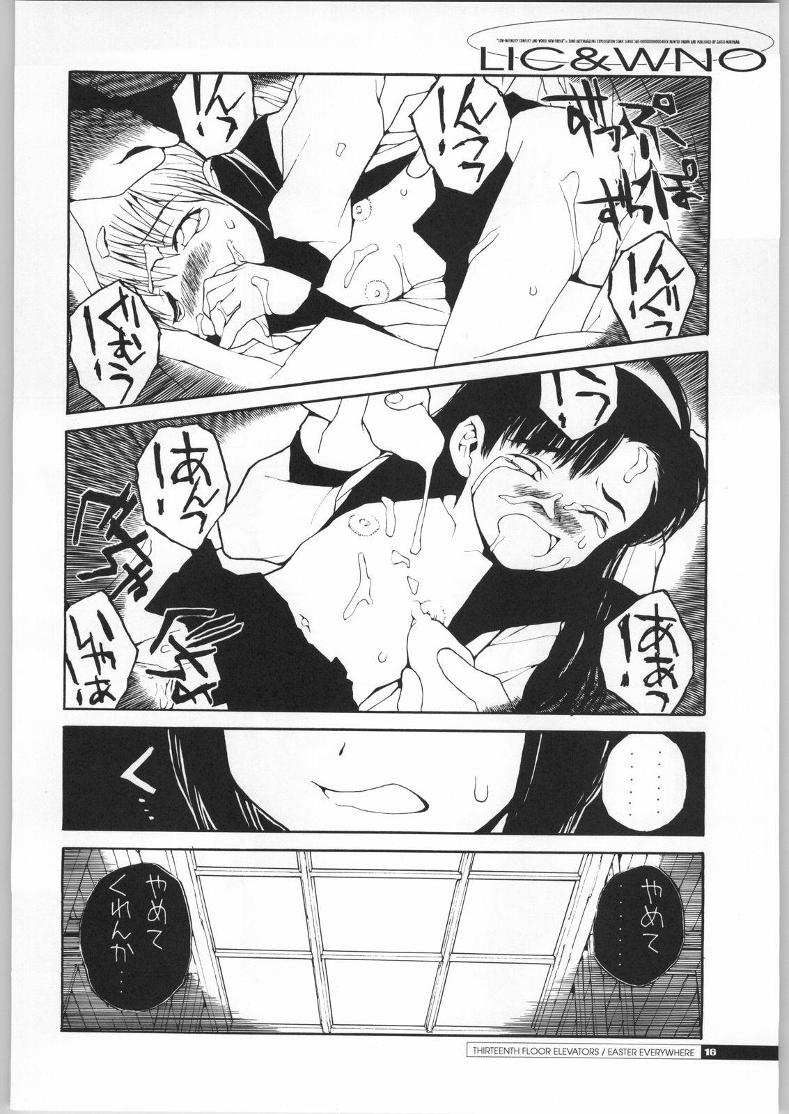(C63) [Junk Arts (Nukiyama Gaisei)] Teikyoudo Funsou to Sekai Shin Chitsujo - Low-Intensity Conflict and World New-Order (Ground Defense Force Mao-chan) 14