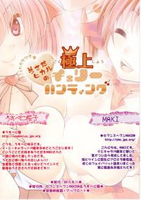 15 Shuunen Kinen☆ Usada Hikaru no Gokujou Cherry Hunting 7