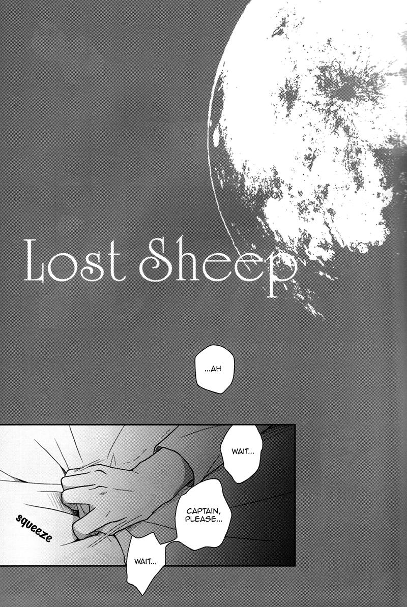 Lost Sheep 2