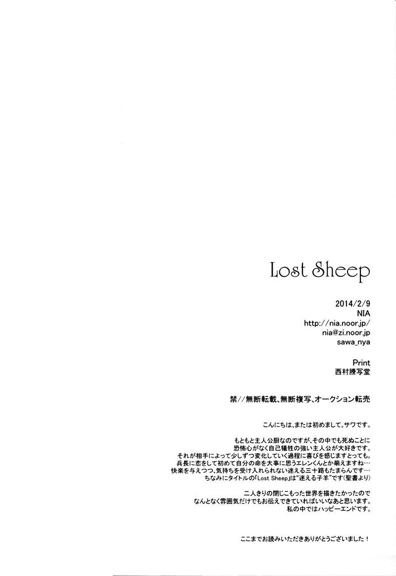 Lost Sheep 45
