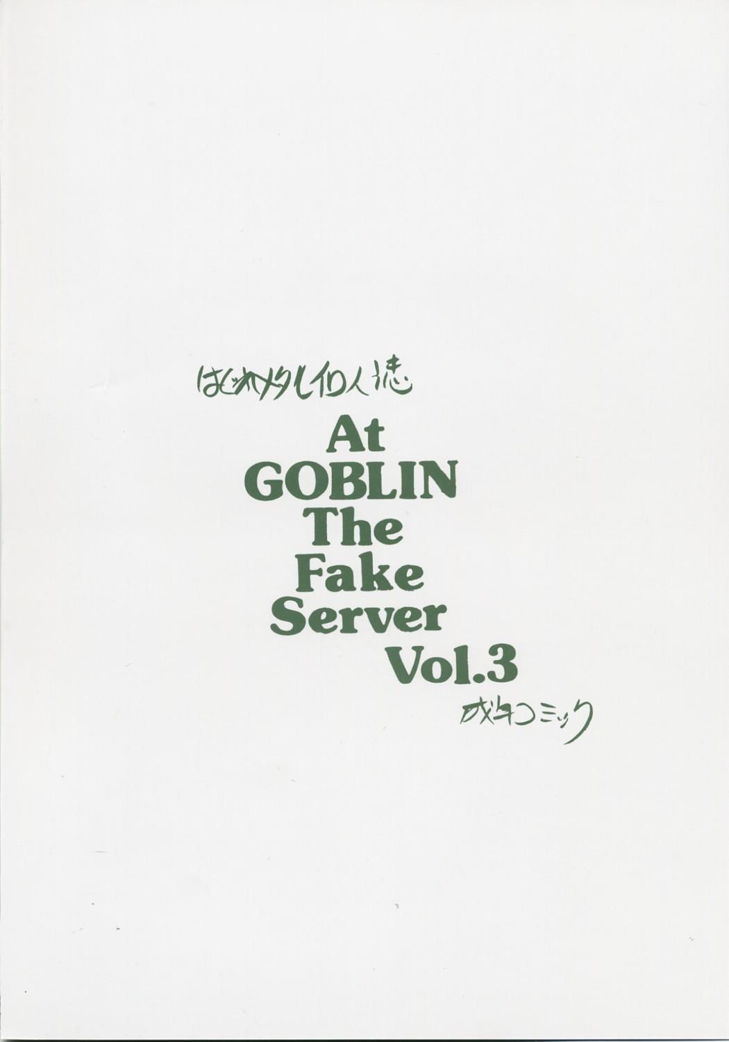 At Goblin The Fake Server Vol.3 17