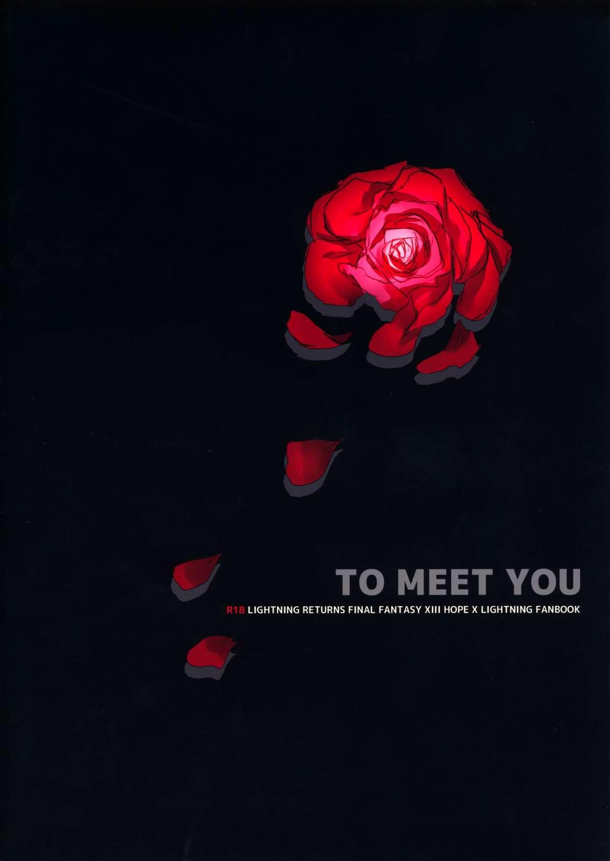 TO MEET YOU 1