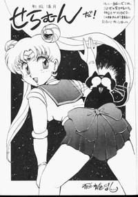 Sailor Moon Monbook Series 1 2