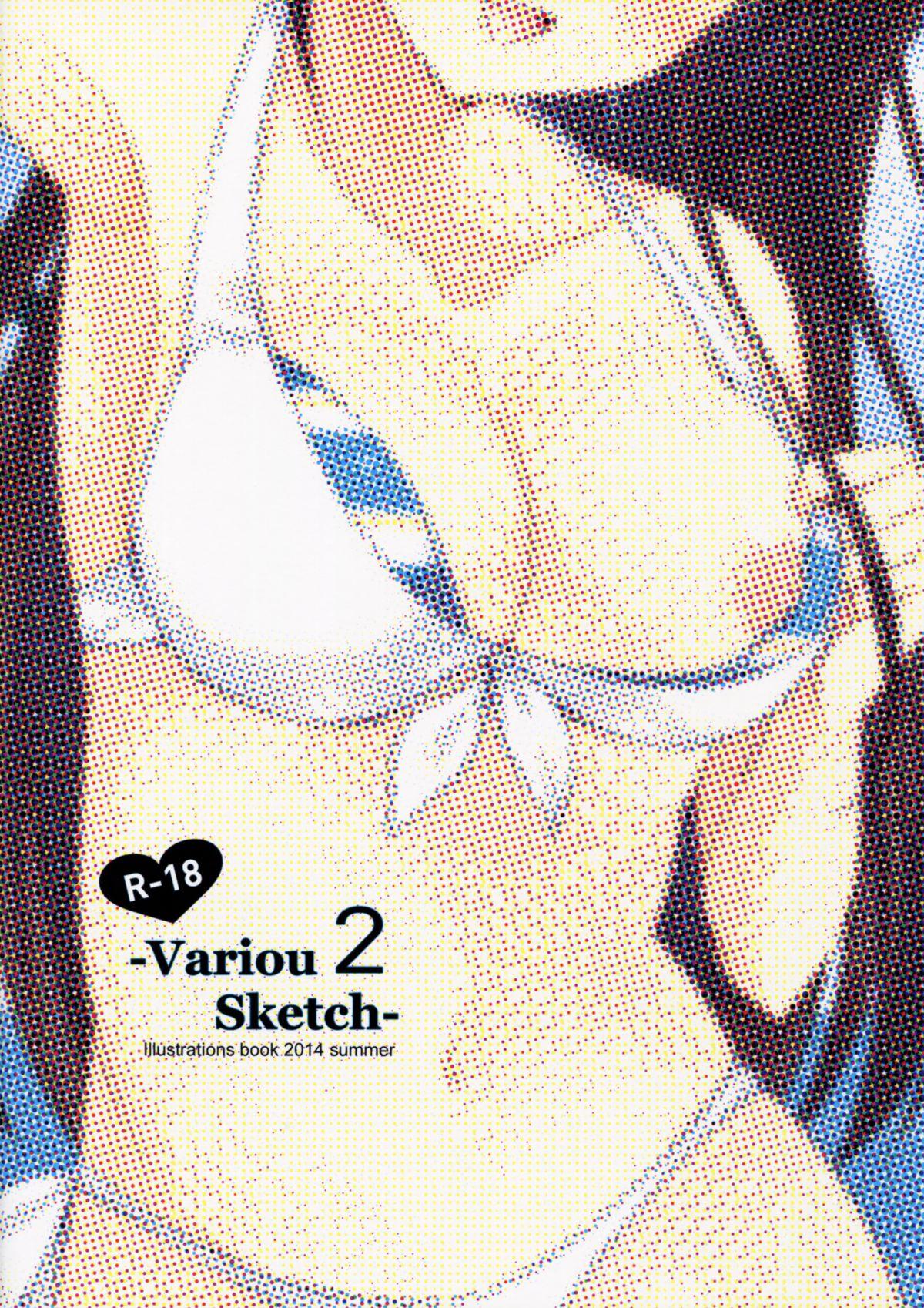 VariouSketch 2 20