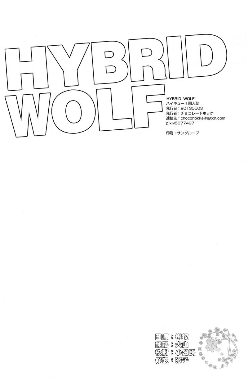 HYBRID WOLF 28