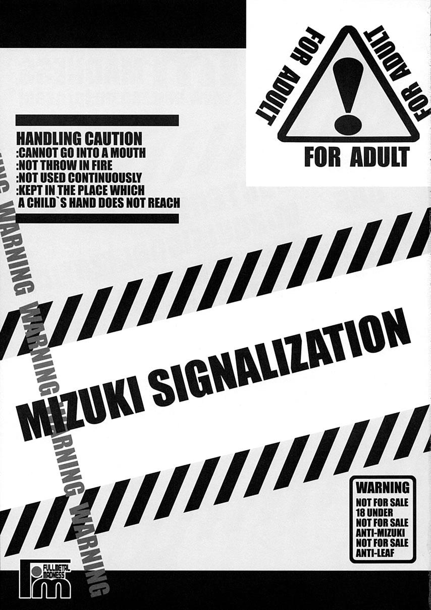 MIZUKI SIGNALIZATION 1