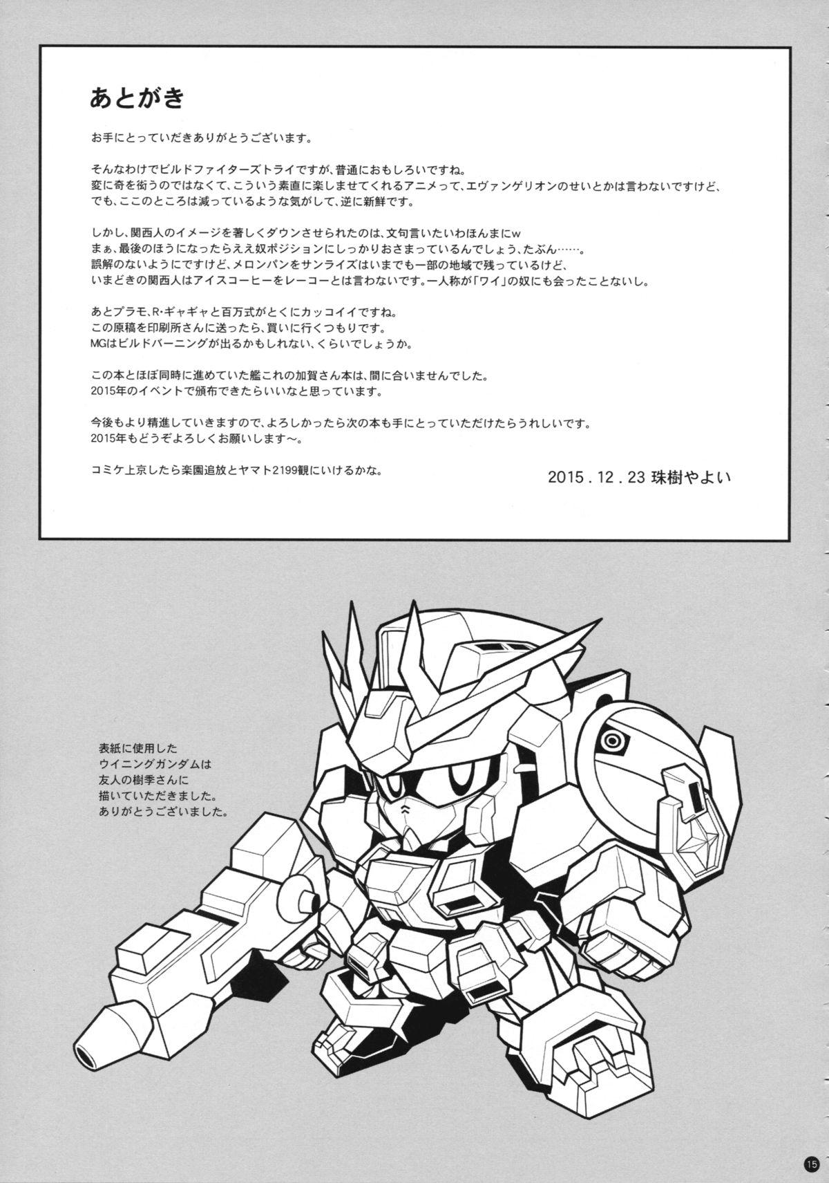 Flash TRY ESCALATION - Gundam build fighters try Blow - Page 17