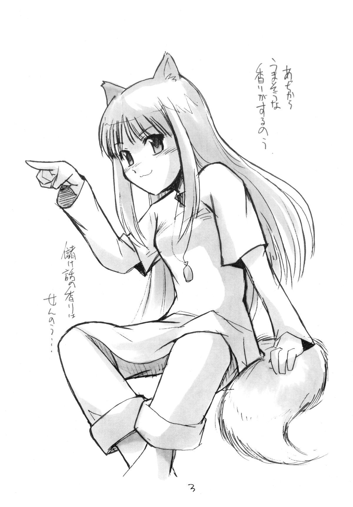 Pink Pussy Ookami-san no Ohikkoshi - Spice and wolf Full Movie - Page 4