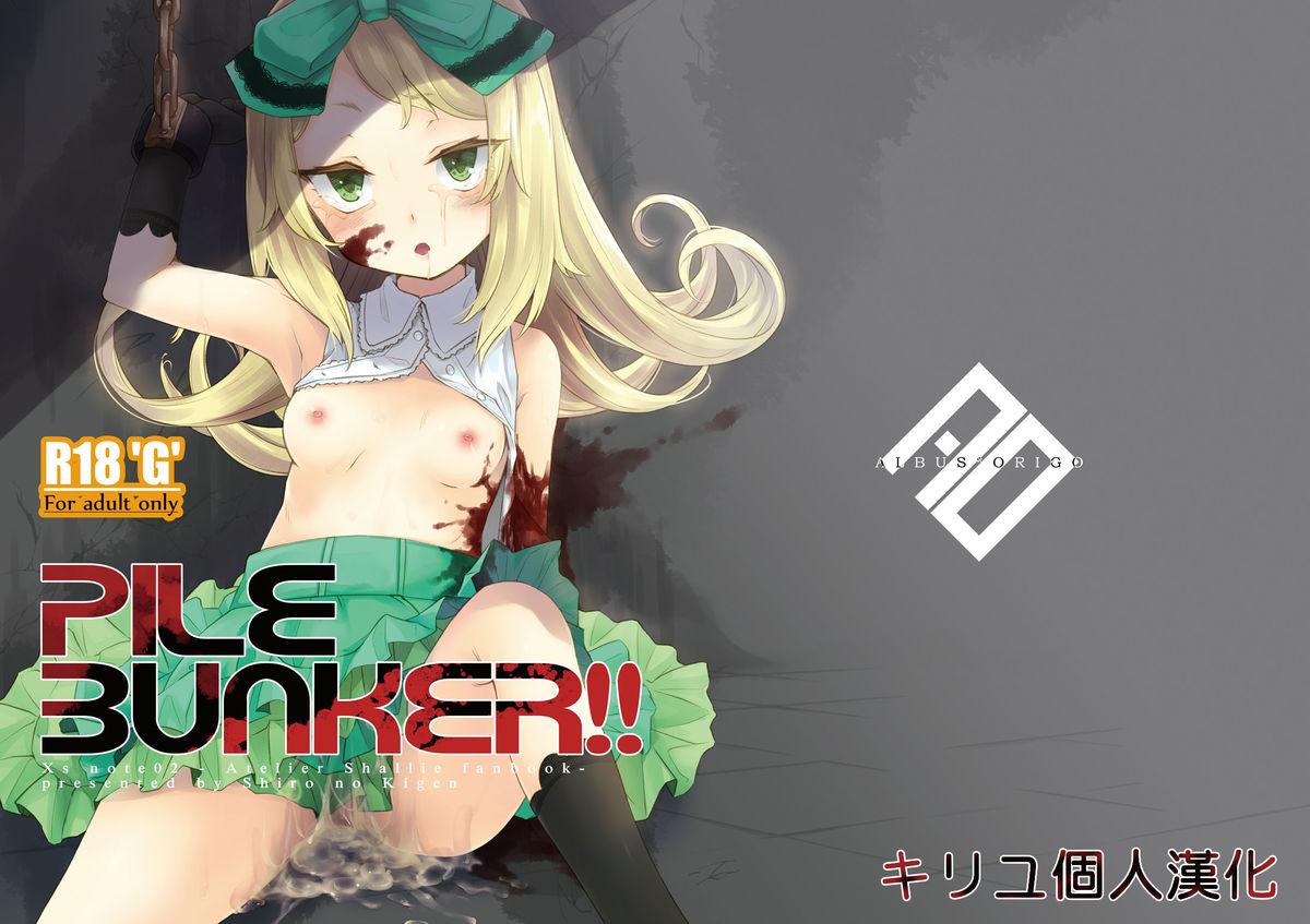 PileBunker!! (C88) [白の起源 (たまきふゆ)] (シャリーのアトリエ～黄昏の海の錬金術士～) [中国翻訳] 0