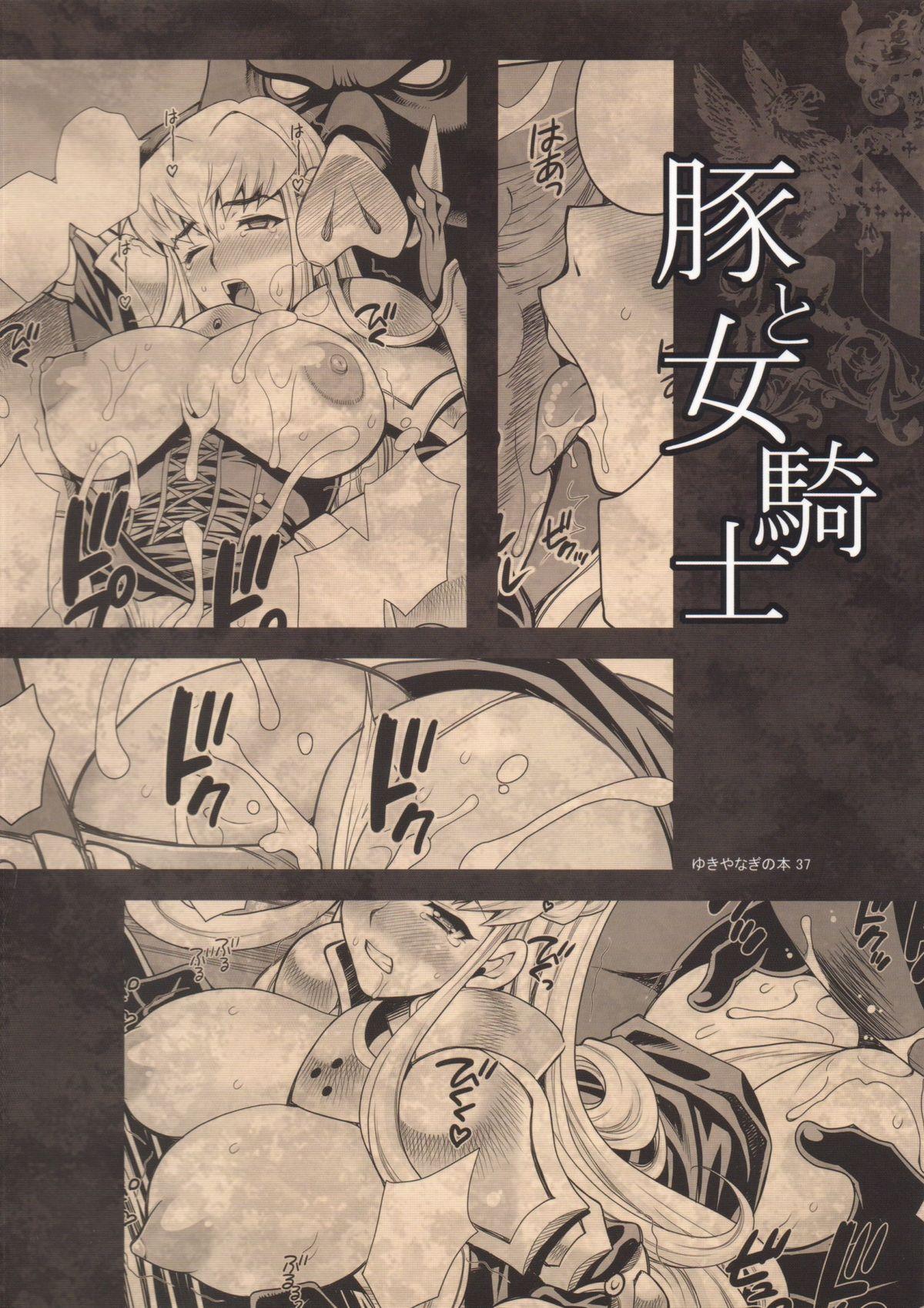 Yukiyanagi no Hon 37 Buta to Onnakishi - Lady knight in love with Orc 25