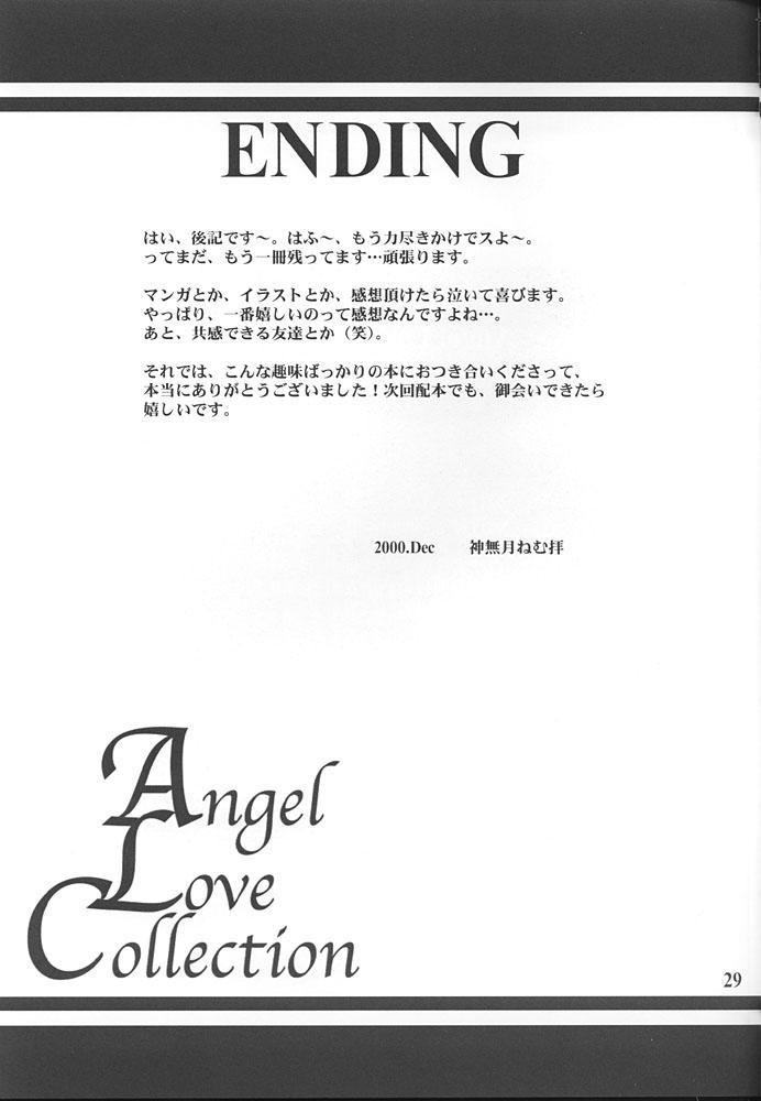 Angel Love Collection 28