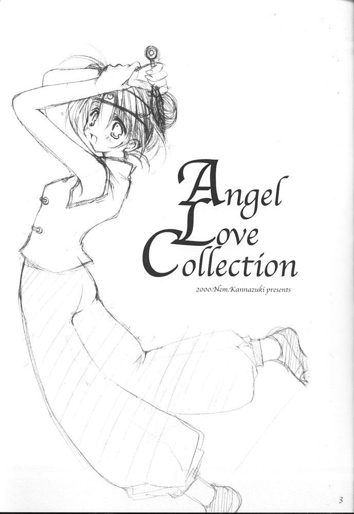 Angel Love Collection 2