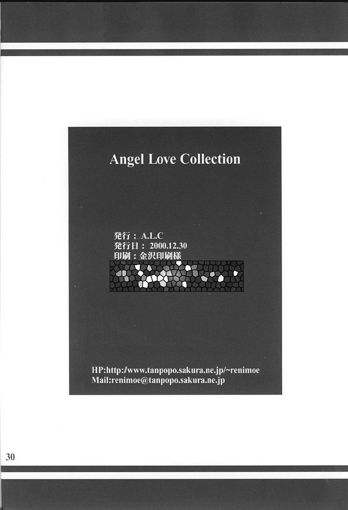 Angel Love Collection 29
