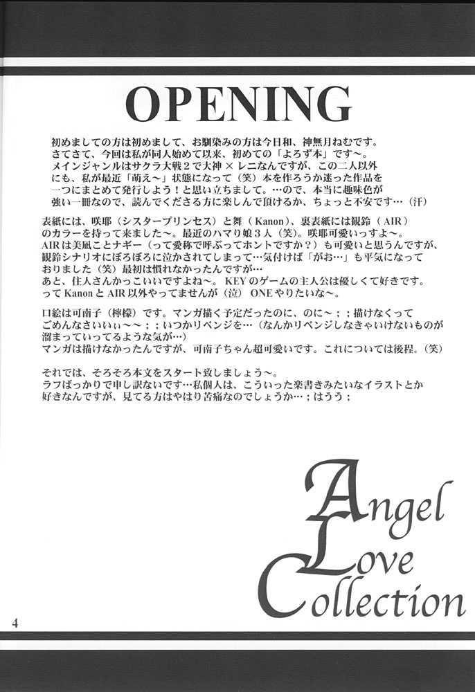 Angel Love Collection 3
