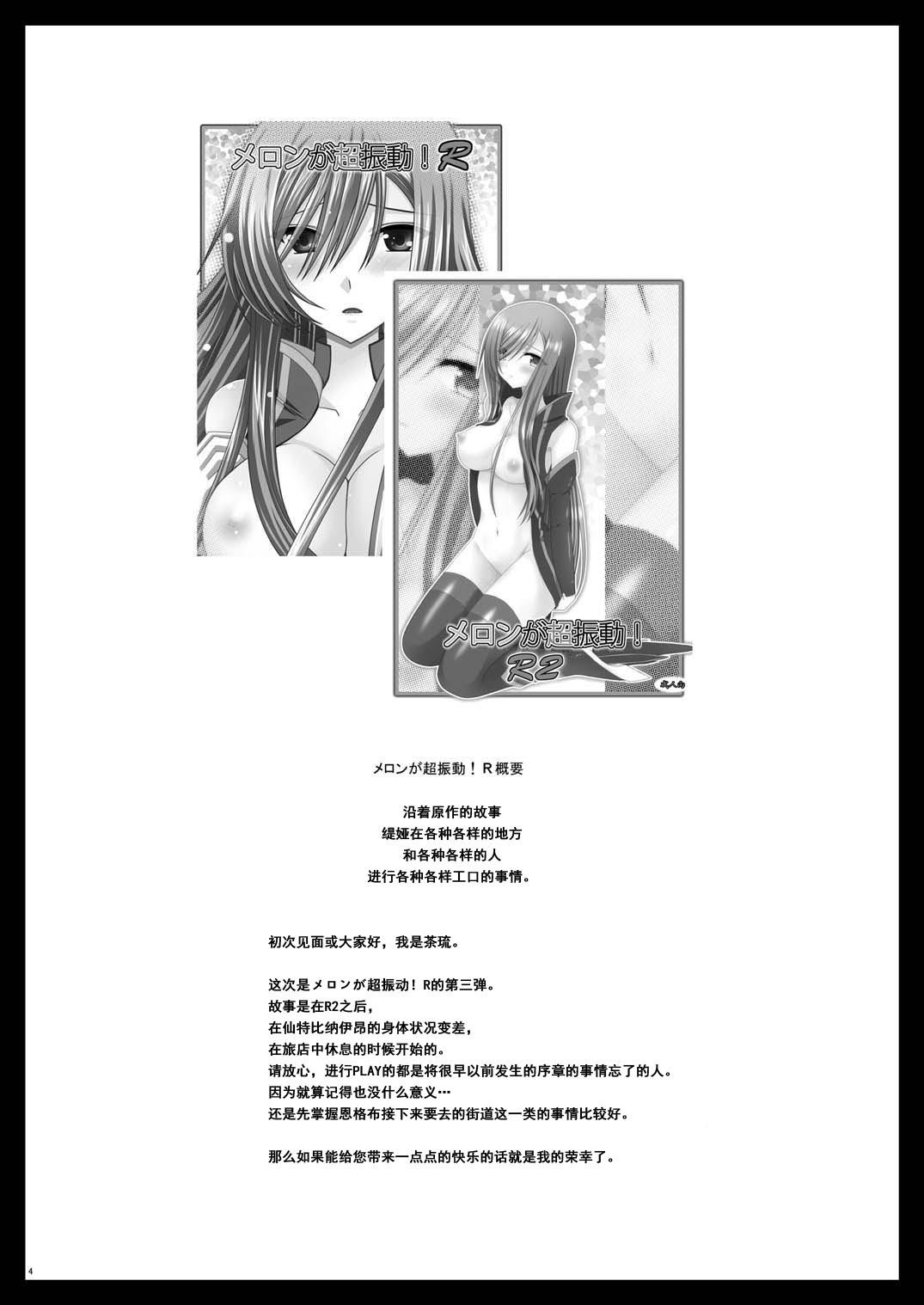 Beauty Melon ga Chou Shindou! R3 - Tales of the abyss Teamskeet - Page 4