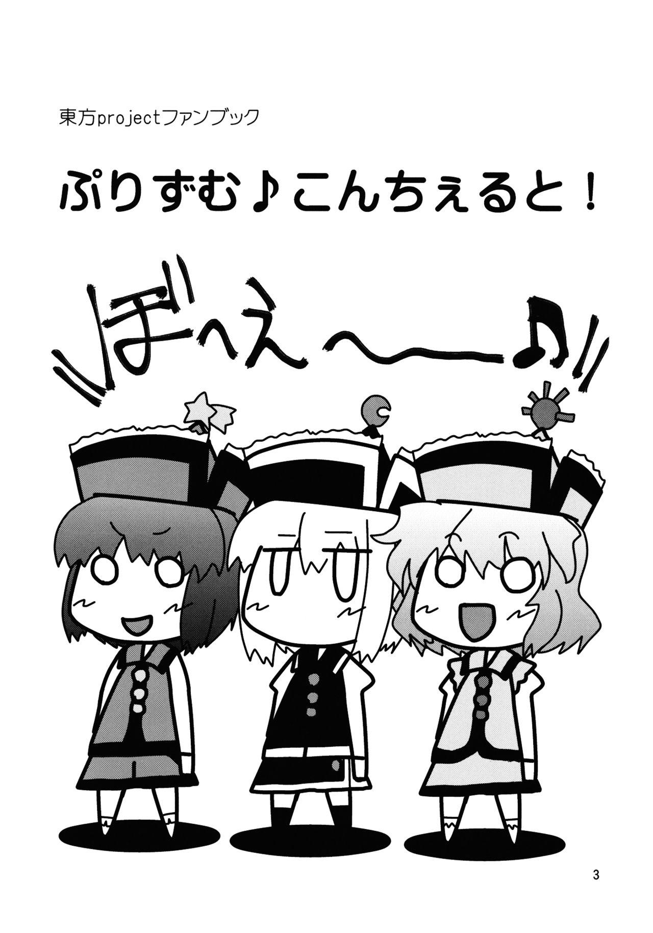 Gayfuck Prism Concerto! - Touhou project Time - Page 3