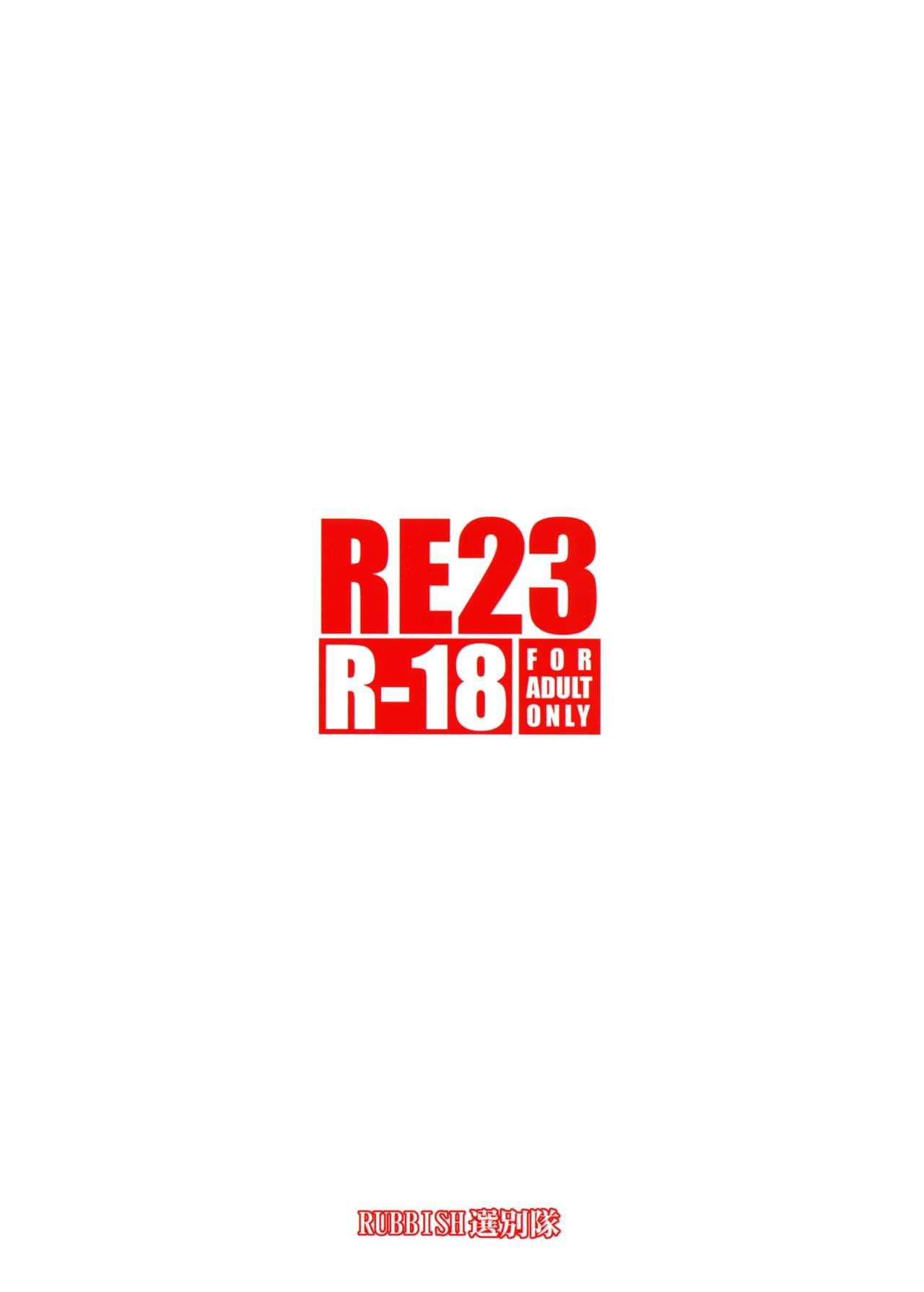 RE 23 29