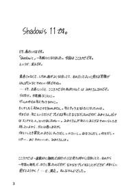 Shadow's 11 3