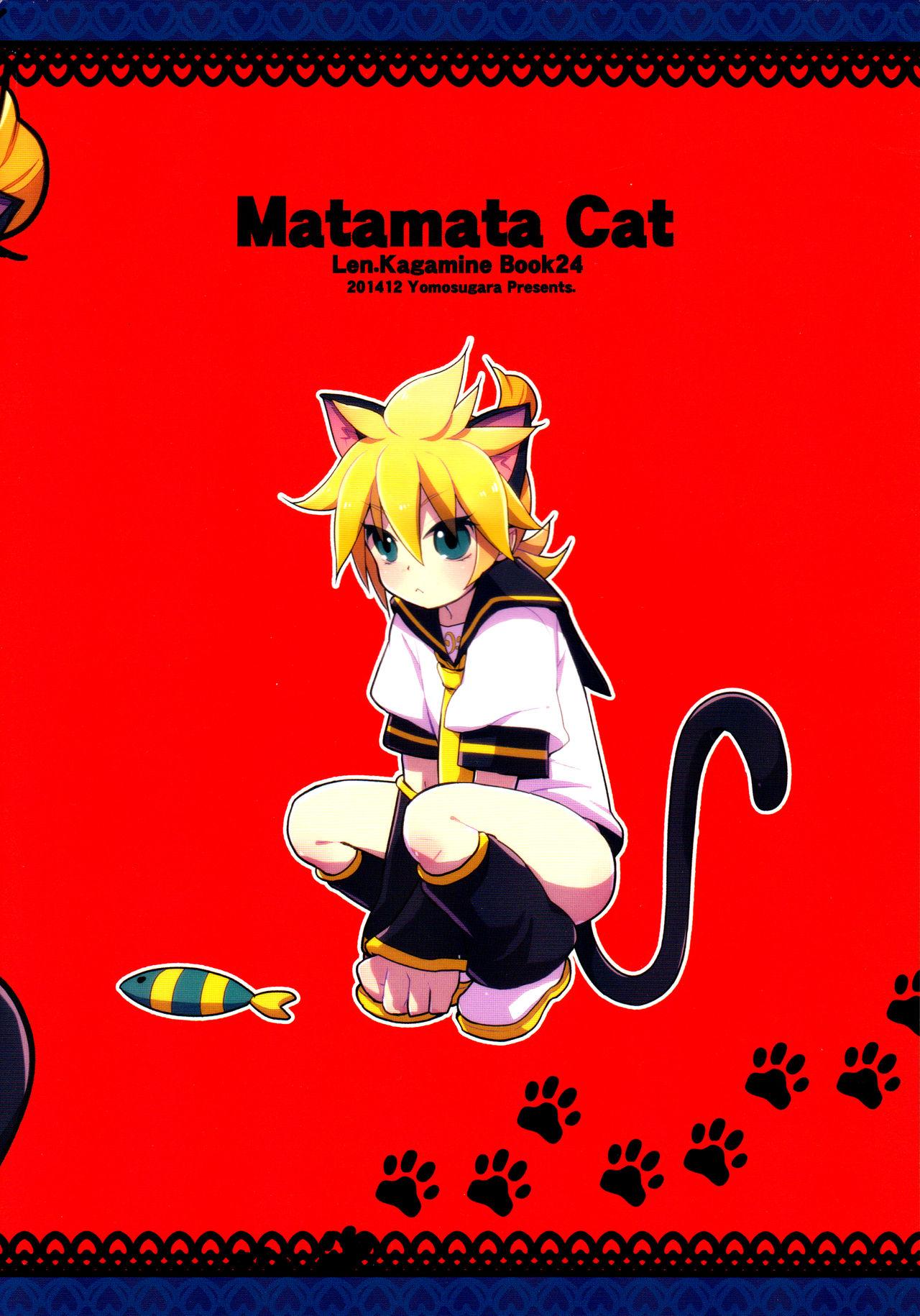 Matamata Cat 22