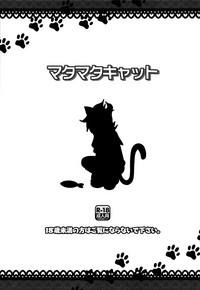 HD Matamata Cat- Vocaloid hentai Shaved 3