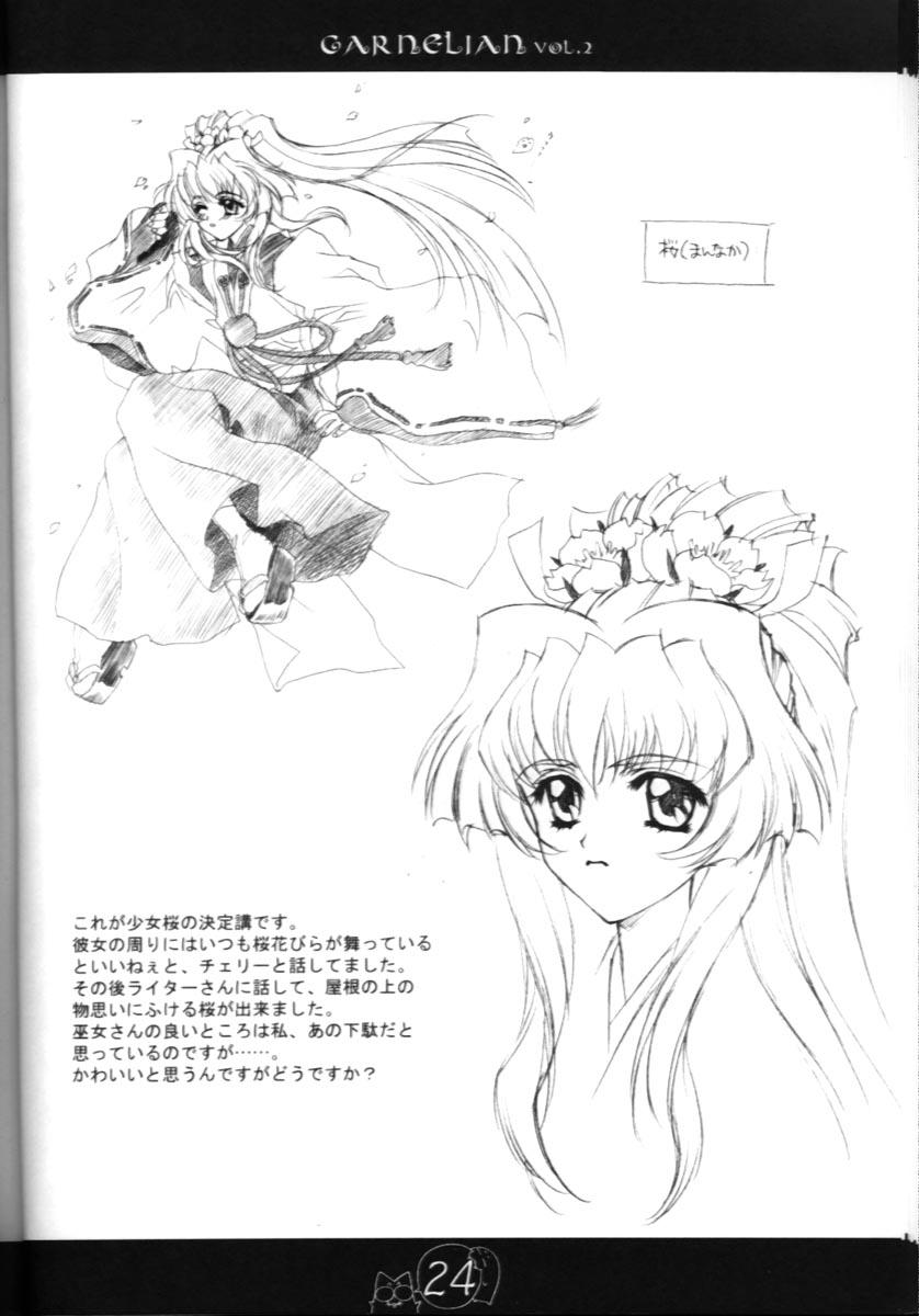CARNELIAN vol.2  - Re·Leaf Settei Shiryou Tsudo 22