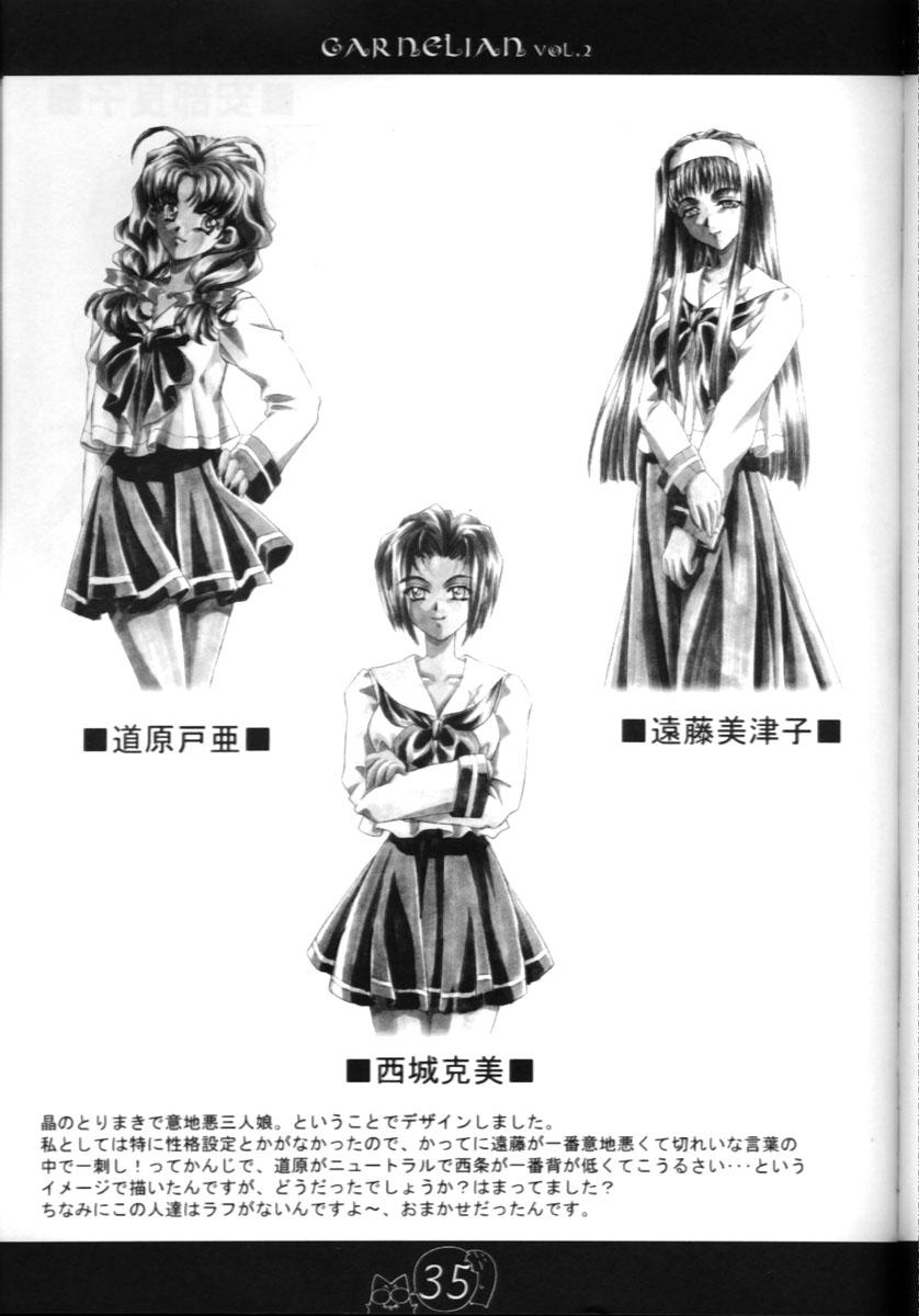CARNELIAN vol.2  - Re·Leaf Settei Shiryou Tsudo 33