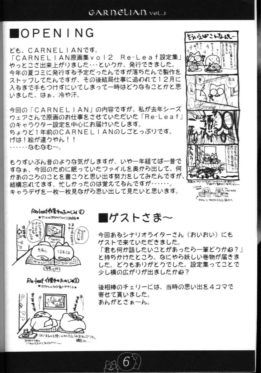 CARNELIAN vol.2  - Re·Leaf Settei Shiryou Tsudo 4