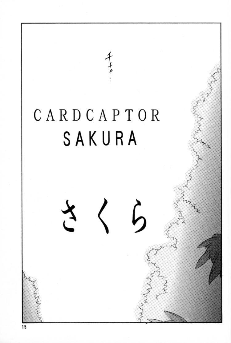 Cardcaptor Sakura Red Version 15