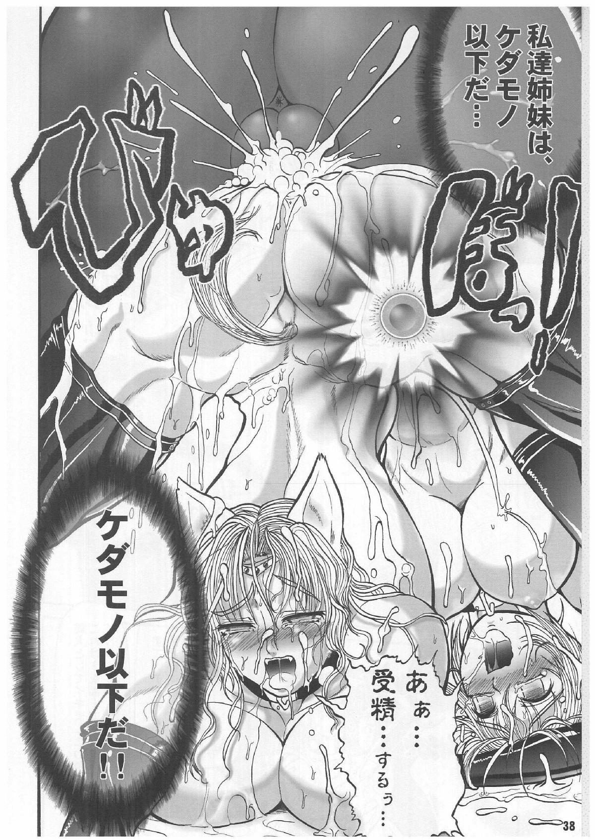 TGWOA Vol.12 - Rukina to Inumimi Oujo 36