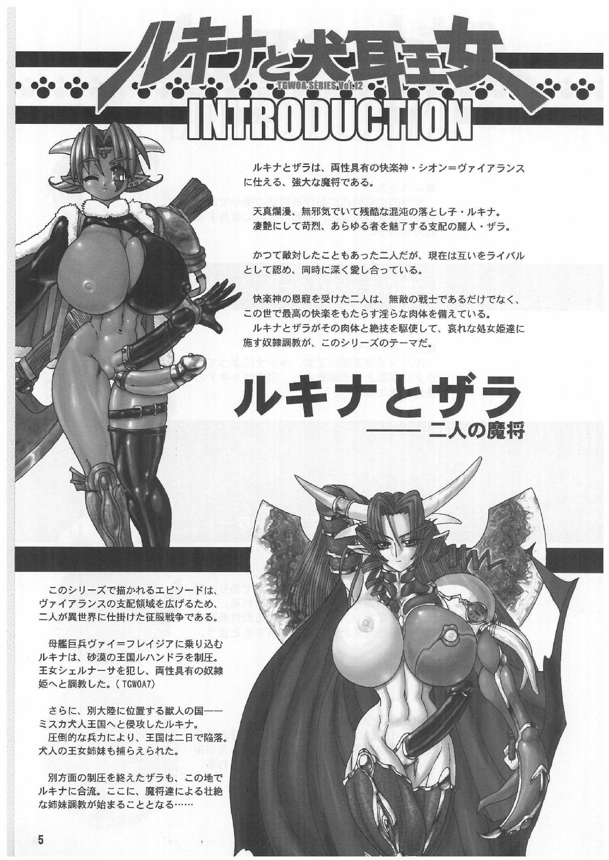 Bizarre TGWOA Vol.12 - Rukina to Inumimi Oujo Belly - Page 4