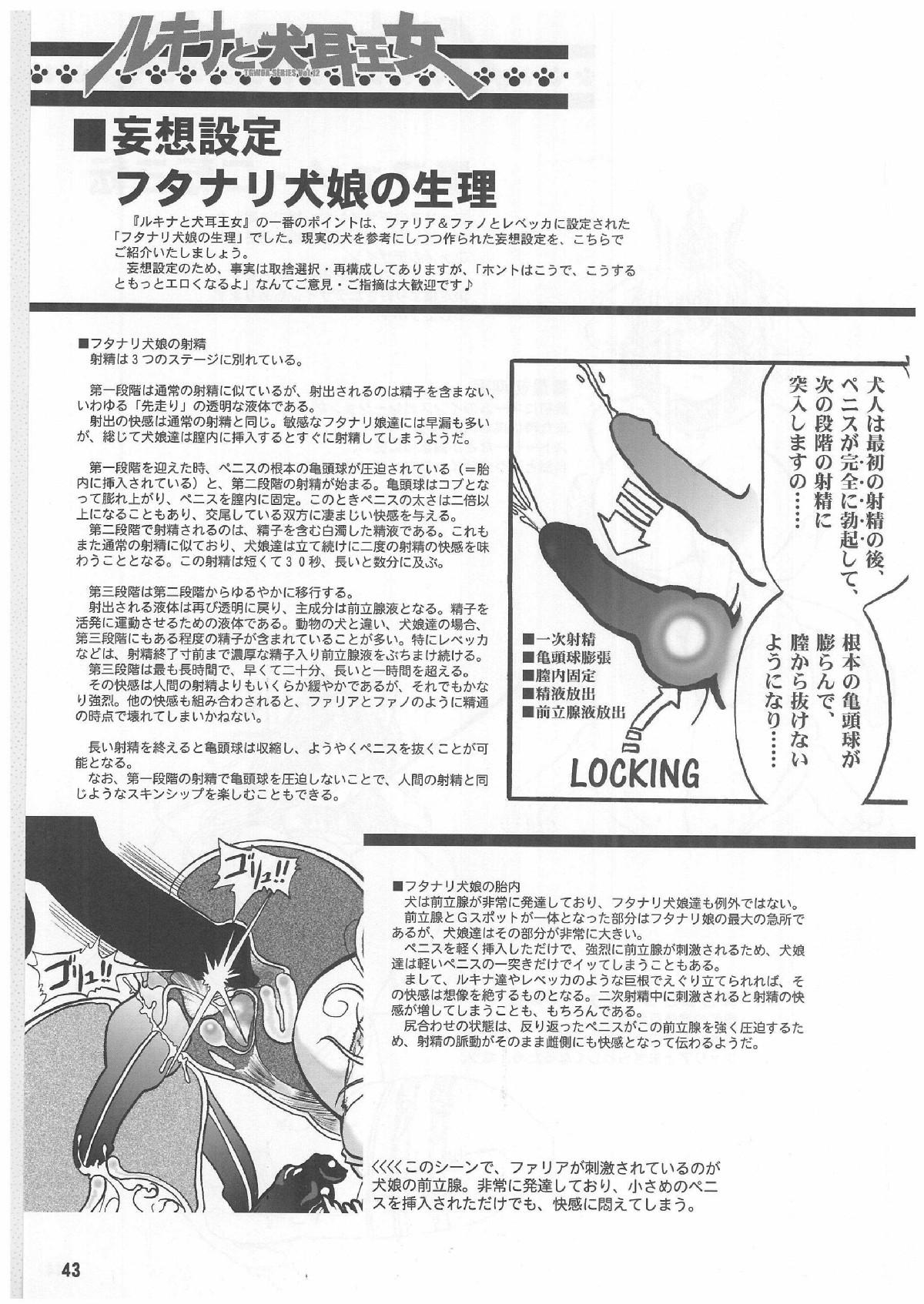 TGWOA Vol.12 - Rukina to Inumimi Oujo 41