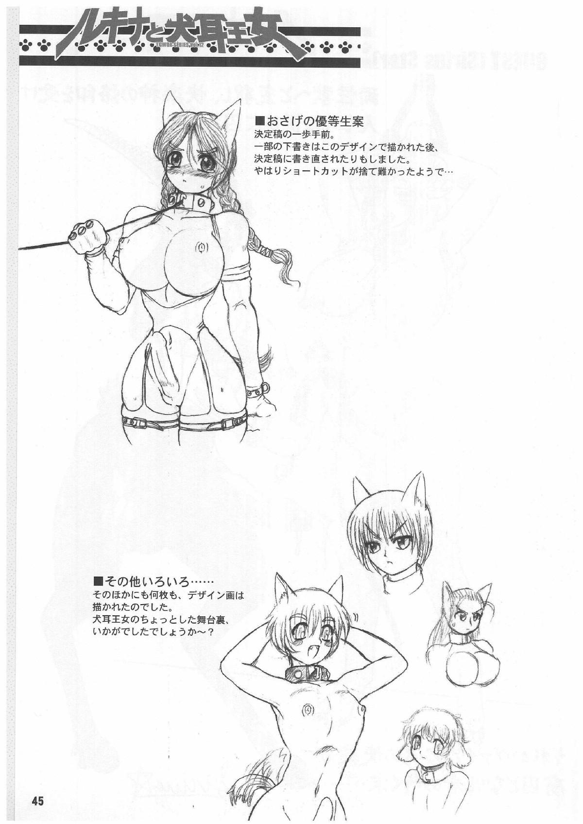 TGWOA Vol.12 - Rukina to Inumimi Oujo 43