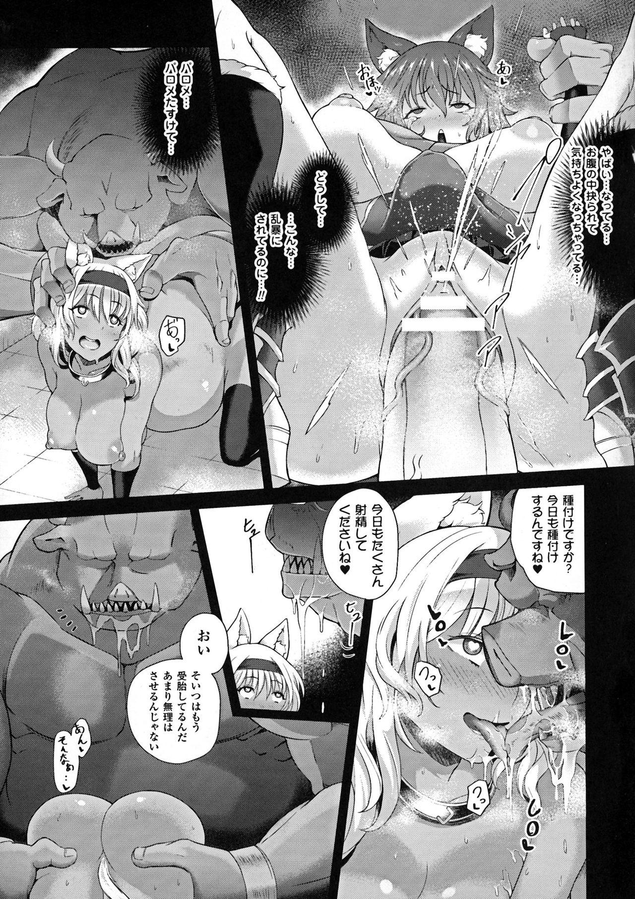 Seigi no Heroine Kangoku File DX vol. 5 64