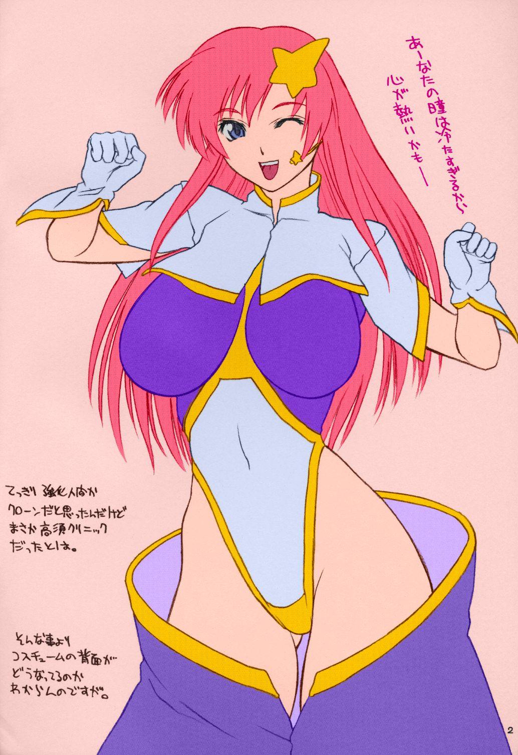 Gorda Mubou Deshita. - Gundam seed destiny Flexible - Page 2