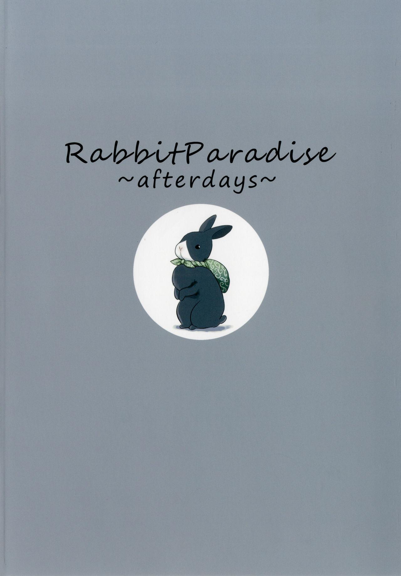 Rabbit Paradise 31