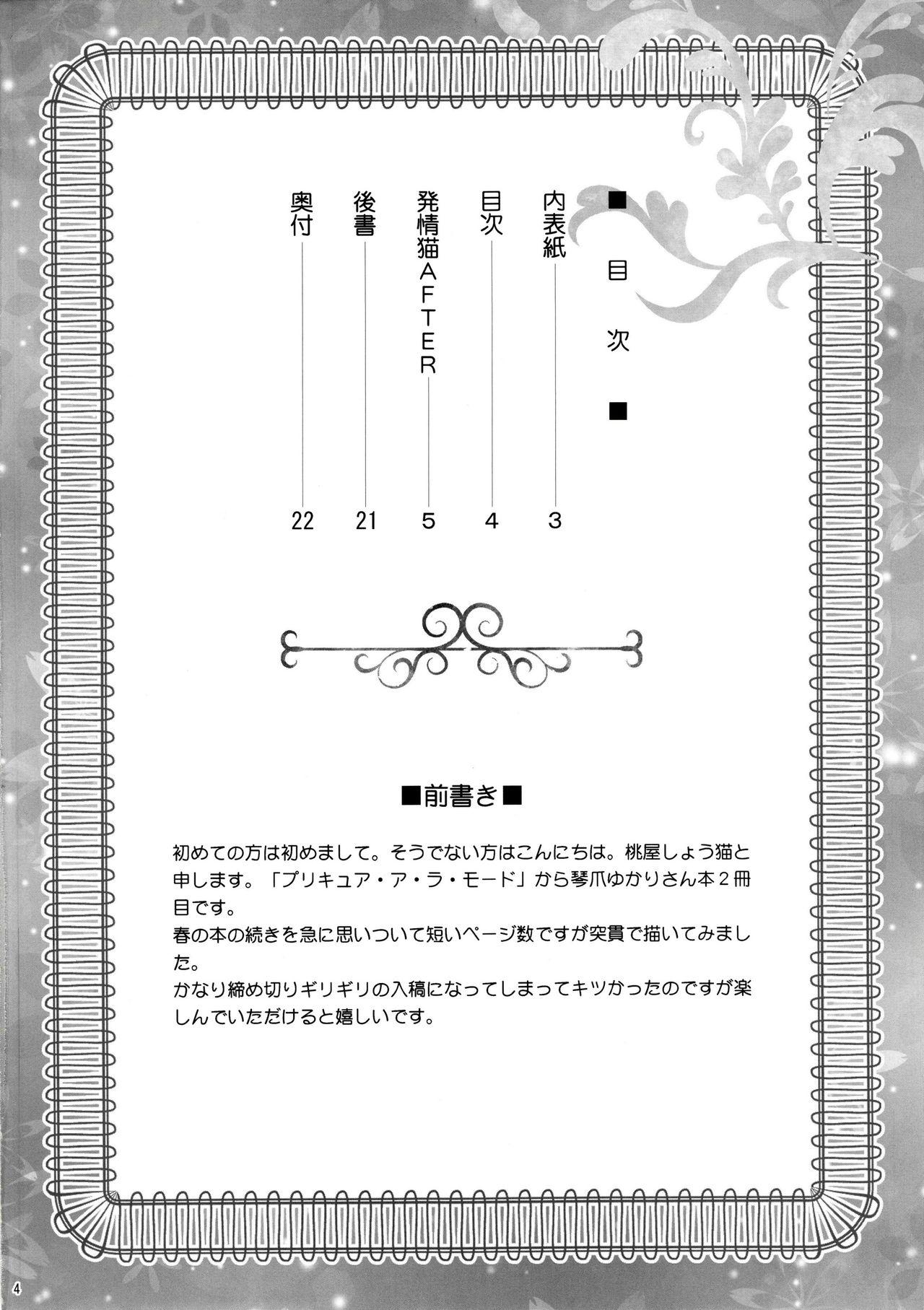 Playing Hatsujou Neko AFTER - Kirakira precure a la mode Carro - Page 3