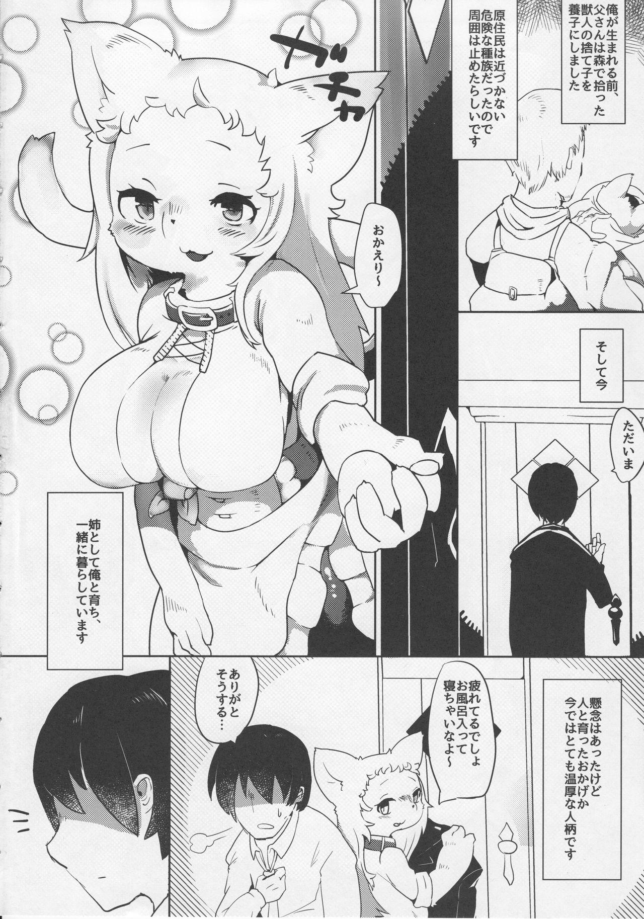 Youth Porn Onee-chan Multi Boot No Condom - Page 3
