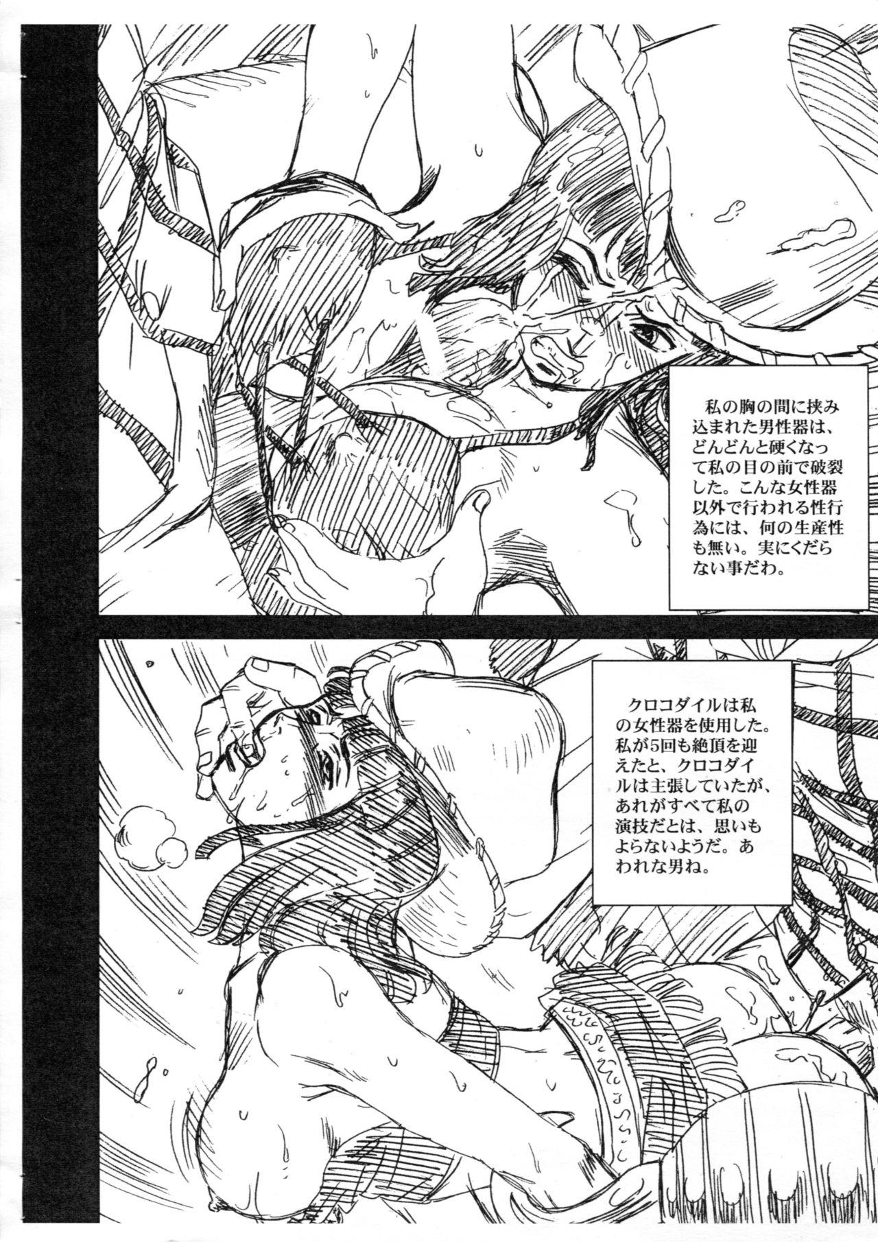 One Piece File Robin Gazoushuu + 3