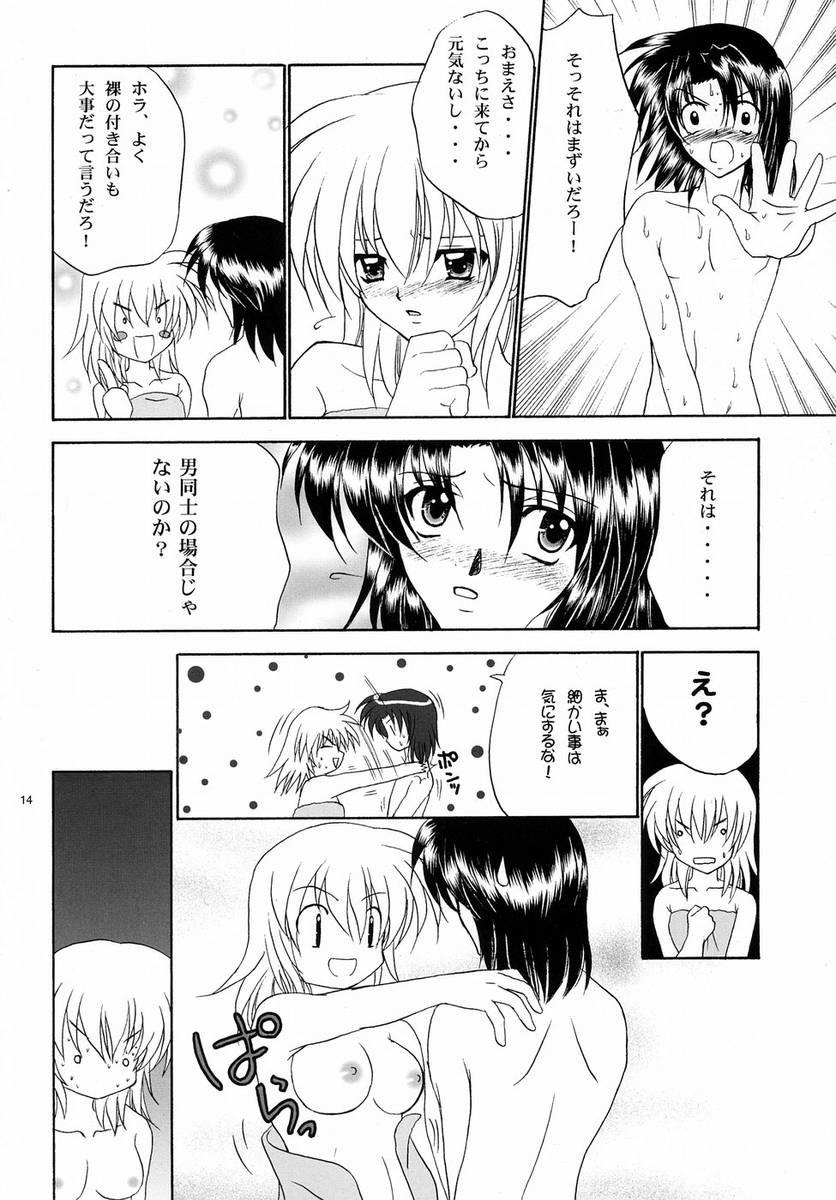 Arrecha Daisuki - Gundam seed Internal - Page 2