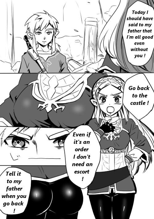 Link to Zelda no Shoshinsha ni Yasashii Sex Nyuumon | Here is a little lesson about Link and Zelda's relation 1