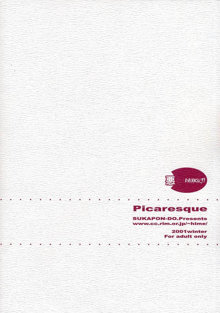 Picaresque 26