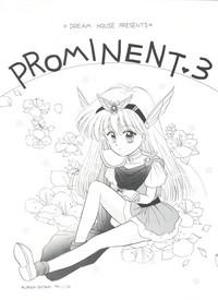 PROMINENT 3 3