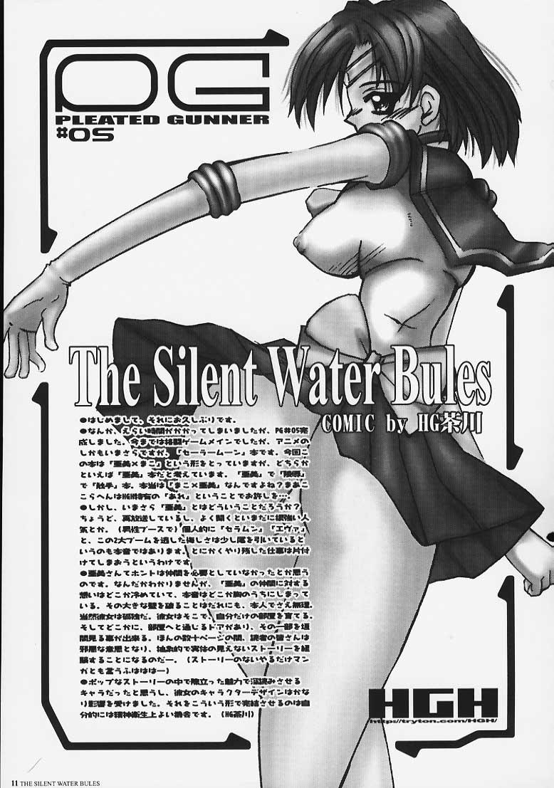 PLEATED GUNNER #05 The Silent Water Blues 9