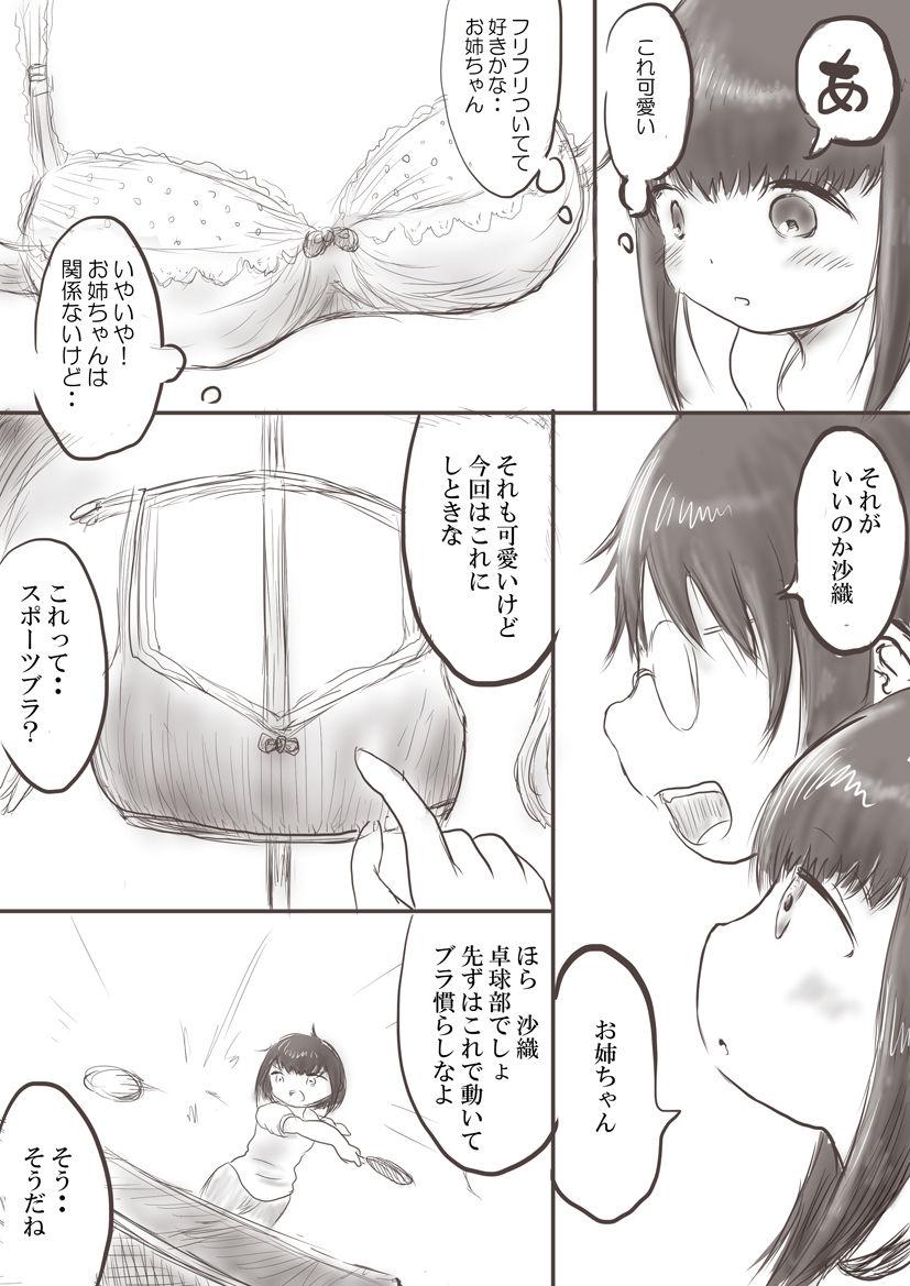 Punished Onee-chan to Saori no Hajimete Bra Affair - Page 3