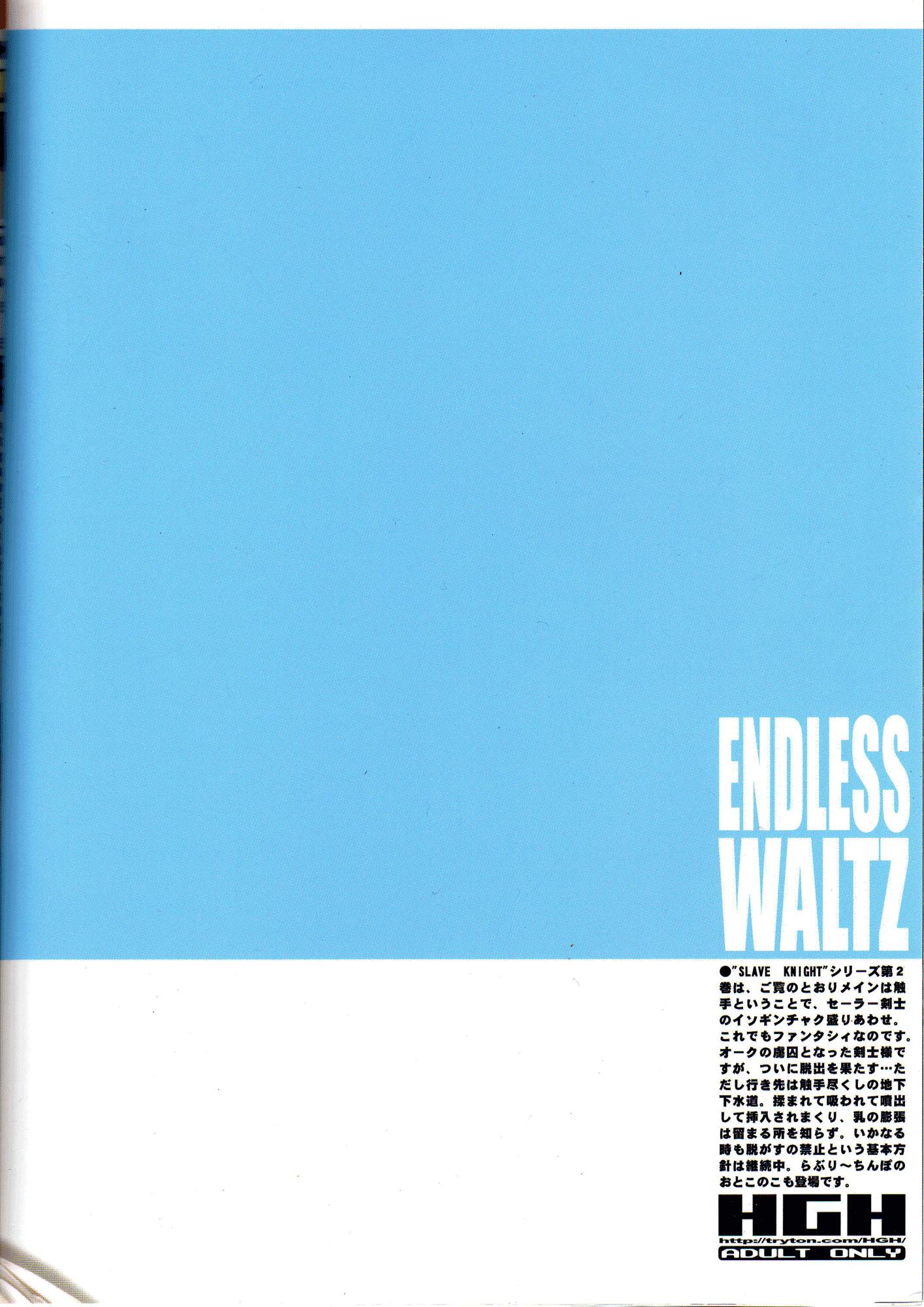 Slave Knight 02 - Endless Waltz 24