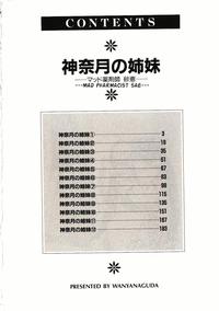 Peluda Kannaduki No Shimai - Mad Yakuzaishi Sae  Chichona 4