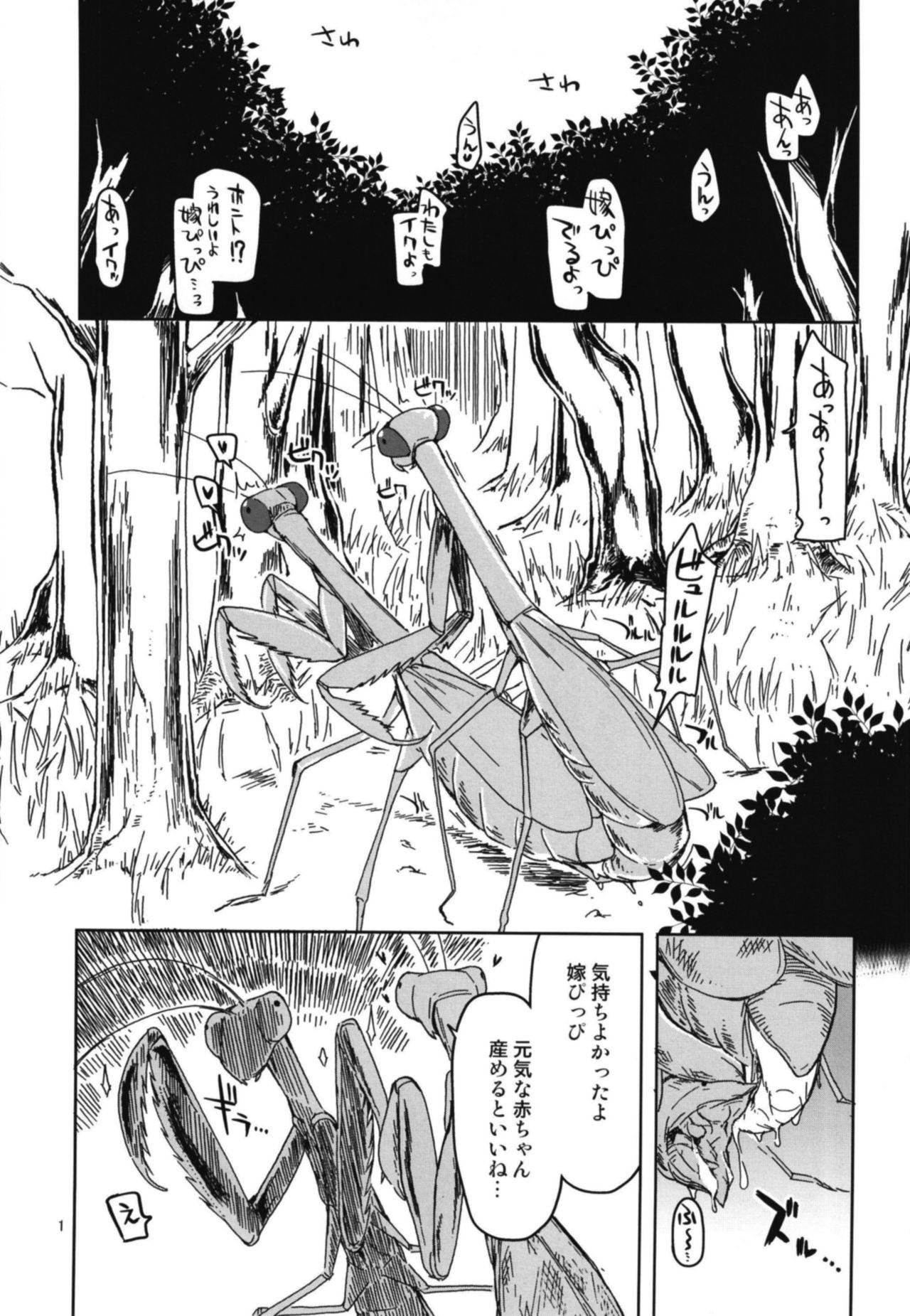 Boss Dosukebe Elf no Ishukan Nikki 5 - Original Monster Dick - Page 3